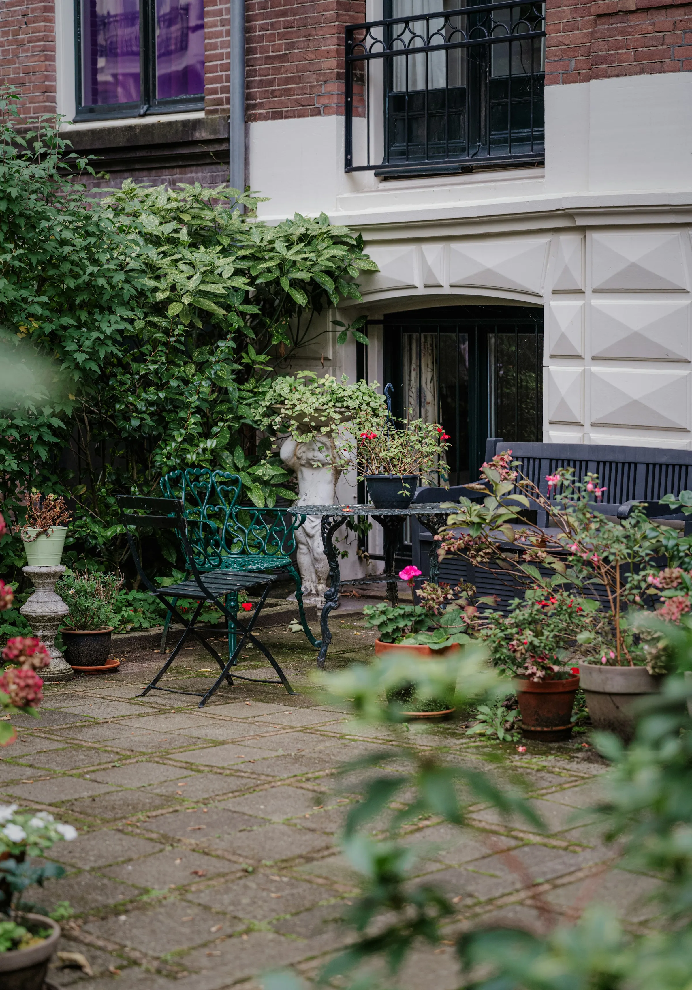 Small paved courtyard with pots and climbing plants