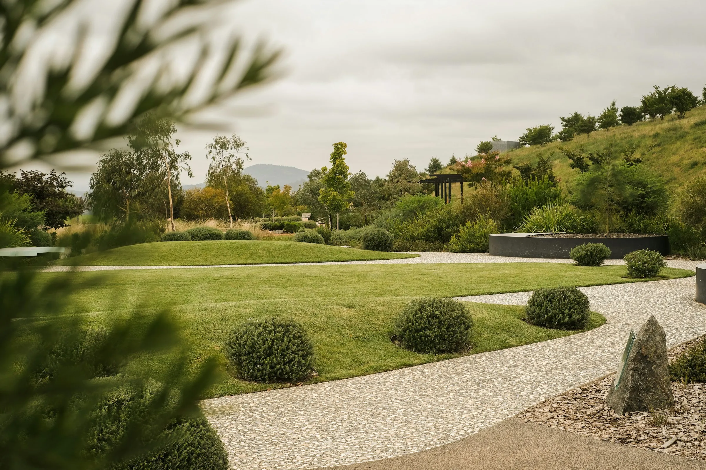 Curving gravel path through a newly planted garden