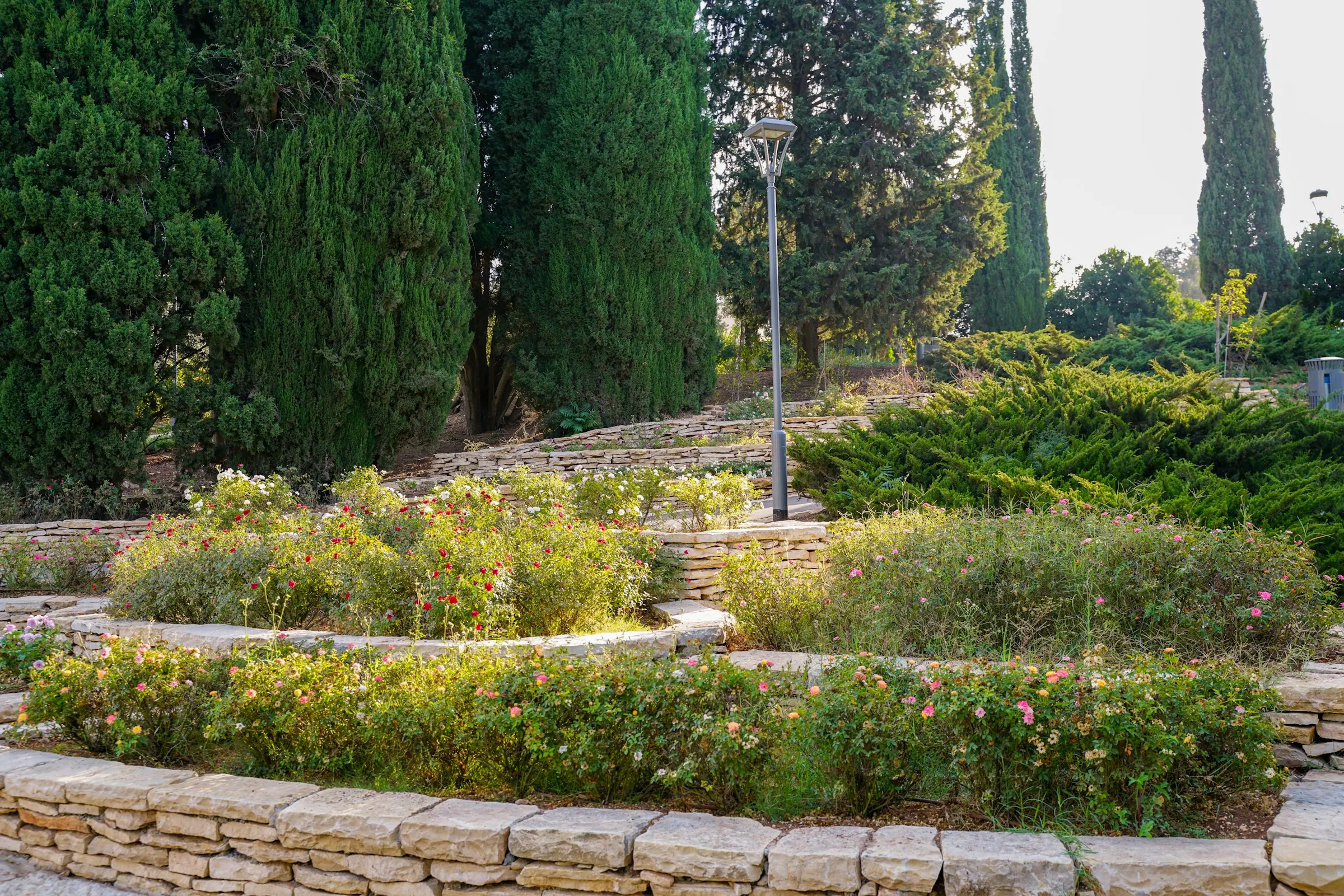 Curved stone raised beds filled with low planting